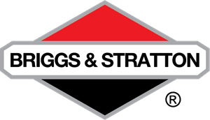 Briggs Stratton