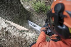 Echo CS7310SX Motorlu Testere 60Cm