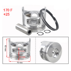 Piston Sekman Takımı 170F-5Hp 0.25