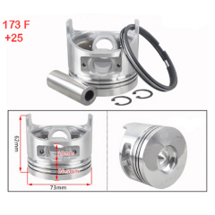 Piston Sekman Takımı 173F-6Hp 0.25