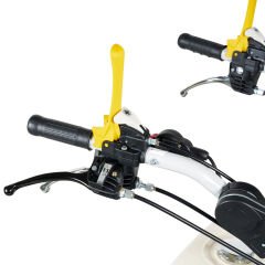 Bertolini BTS 100TR Benzinli Çalı ve Yabani Ot Parçalama Makinesi Paletli