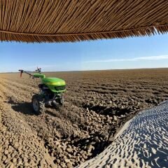 Taral 310M Çapa Makinesi Pmg 170F