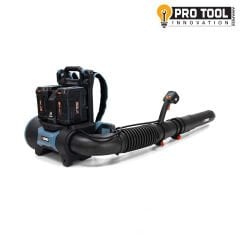 Senix BLBX6-M-EU Akülü Üfleme Makinesi