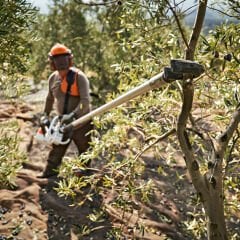 Stıhl SP 482 Benzinli Hasat Makinesi