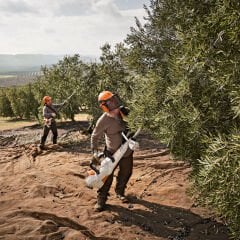 Stıhl SP 482 Benzinli Hasat Makinesi