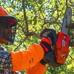 Oleomac Gsth 240 Eur5 Benzinli Motorlu Testere 1.2 Hp