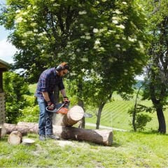Oleomac Gsh 510 EUR5 Benzinli Motorlu Testere 3.0 Hp