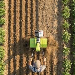 Grillo 11500 Honda GX200 Çapa Makinesi