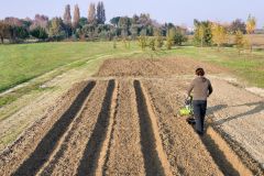 Grillo 11500 Çapa Makinesi Cf178 Dizel
