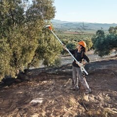 Stıhl Spa 140 Akülü Hasat Makinesi
