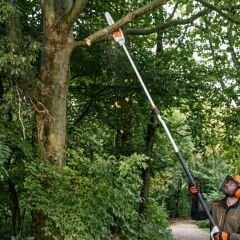 Stihl HTA 86 Akülü Yüksek Dal Budama Testeresi