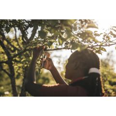 Fiskars P751 Plus Powerlever Metal Budama Makası Bypass