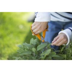 Fiskars Universal Çiçek ve Bitki Kesme Budama Makası 21 cm 1001539