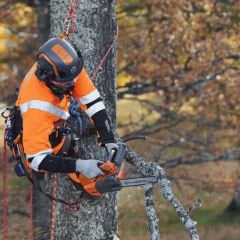 Husqvarna T525 Benzinli Dal Budama Motoru 1.5Hp