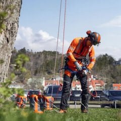 Husqvarna T535i Xp Akülü Testere (Aküsüz)