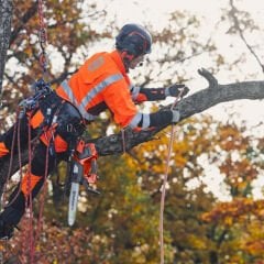 Husqvarna T535i Xp Akülü Testere (Aküsüz)