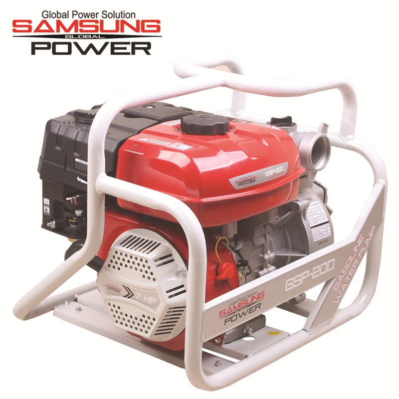 Samsung Power GSP-200 Su Motoru 2''