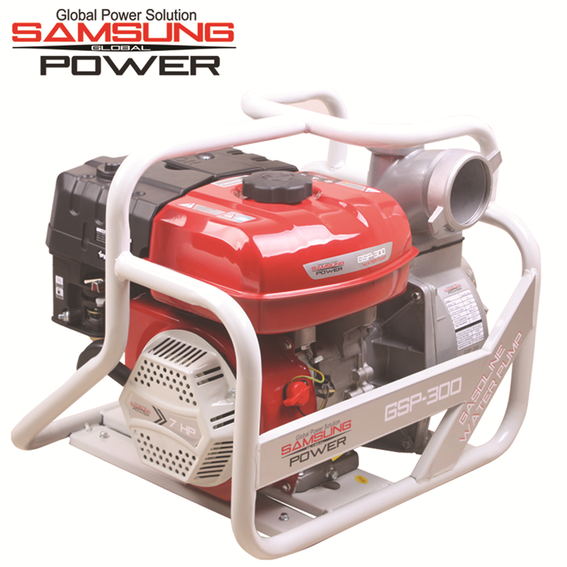 Samsung Power GSP-300 Su Motoru 3''